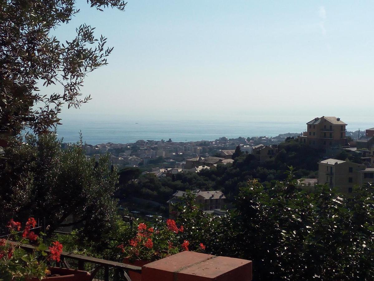 Chalet Villino 