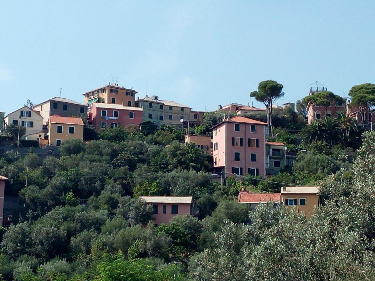 Chalet Villino 